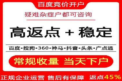 充值返点机制在社交平台的应用案例